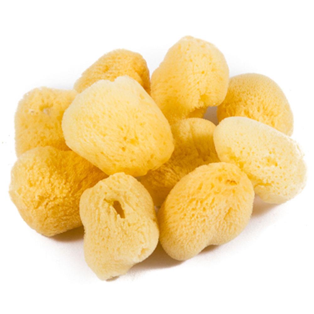 Jakar Artist Pack of 10 Small Sea Sponges